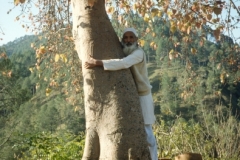 Man-who-hugs-trees
