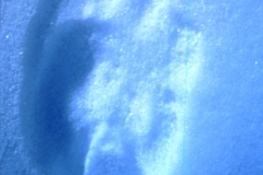Donag footprint